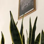 Te Bunkeri * Erseke