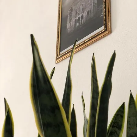 Te Bunkeri * Ersekë